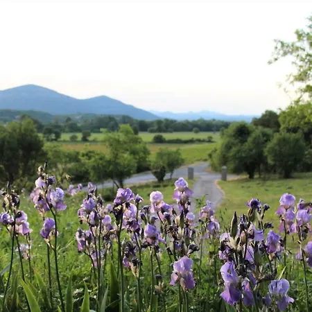 Le Mas Bas Aigoual Bed & Breakfast Orthoux-Sérignac-et-Quilhan